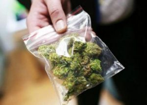 Наркопреступление и наказание