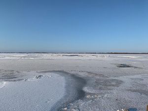 На месте порыва на продуктопроводе идёт подготовка к диагностическим работам