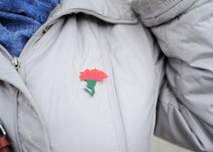 Красная гвоздика - символ подвига и памяти