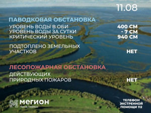 Лесопожарная и паводковая обстановка в Мегионе на 11 августа