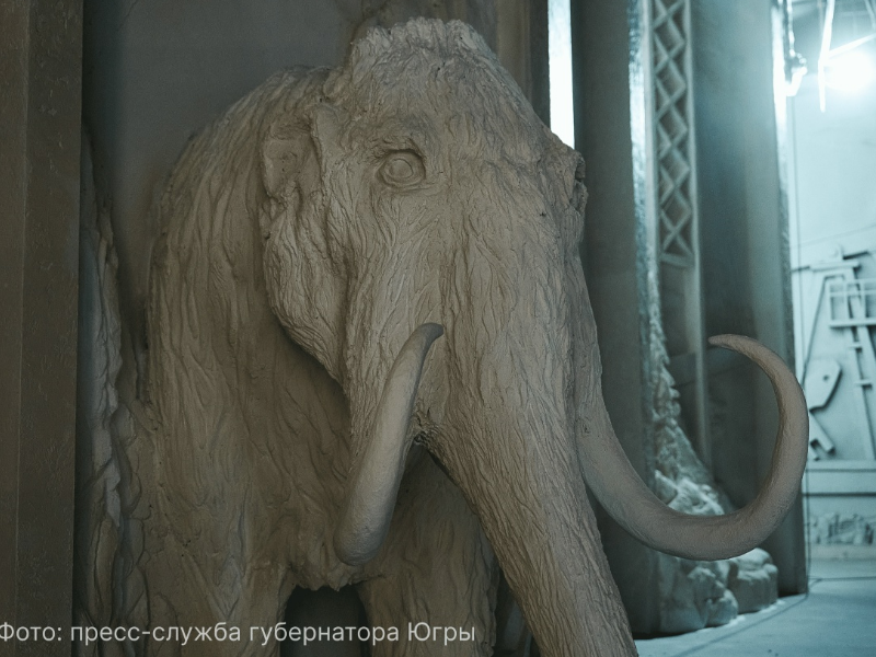 Национальный центр «Россия» открывается в Югре