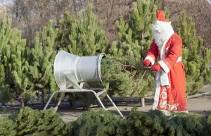 В Мегионе открывается ёлочный базар