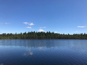 Уровень воды в Оби остается в пределах нормы