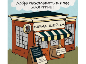 День зимующих птиц России