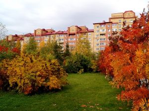 За 8 лет в Мегионе расселили более 900 балков