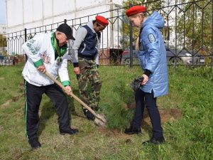 В честь юбилея Югры в Мегионе высадили молодые саженцы кедров