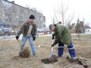 В Мегионе началась озеленительная кампания
