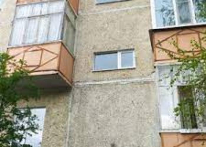 Спилил дерево – отвечай по закону
