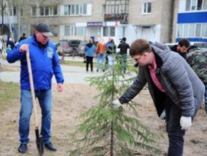 «Сад памяти»