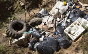 Комплекс по переработке автомобильных шин и пластиковых отходов планируют создать в Югре
