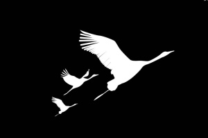 В память о погибших во время теракта в Красногорске пройдет акция по всей стране