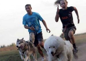 В Нефтеюганске соберутся «собачьи ниндзя»