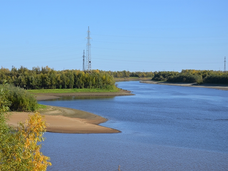 Лесопожарная и паводковая обстановка в Мегионе на 22 августа