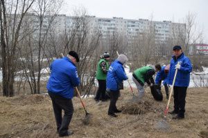 Мегионцы приняли участие во Всероссийском субботнике «Зеленая весна»