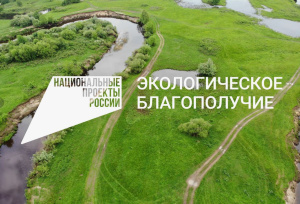 Благодаря национальному проекту «Экологическое благополучие» в нашей стране растет число экотуристов