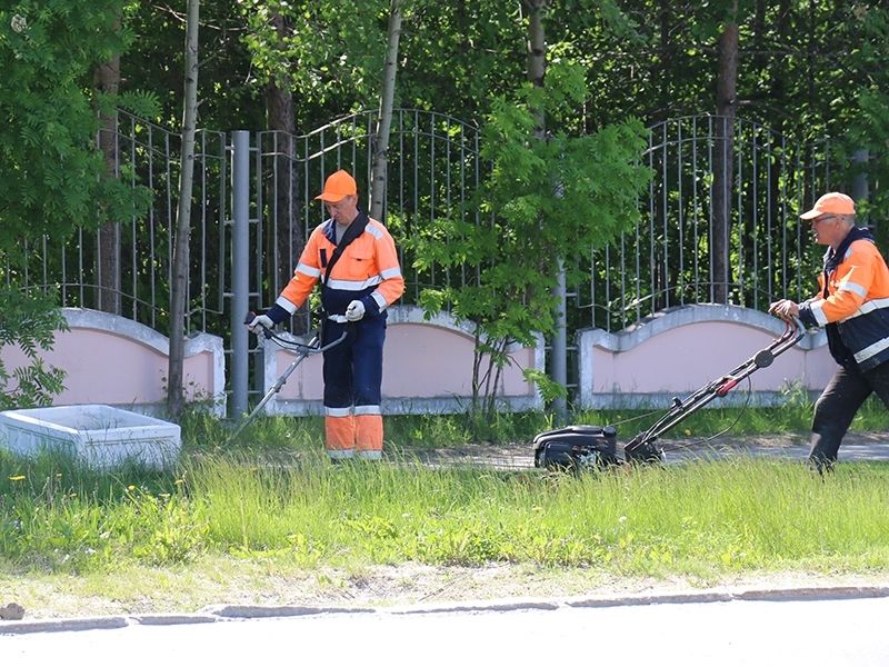 В Мегионе начался сезонный покос травы
