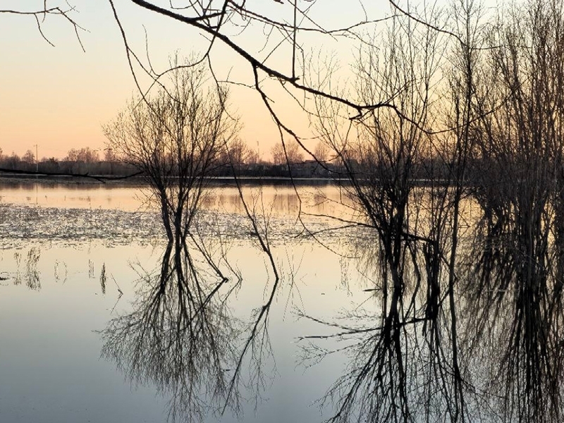 Уровень воды в Оби 23 июня - 970 см