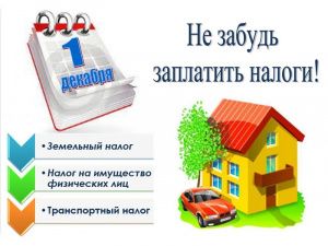 1 декабря истекает срок уплаты имущественных налогов за 2021 год