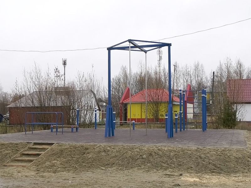 Лучшие друзья – перекладина, лестница и брусья