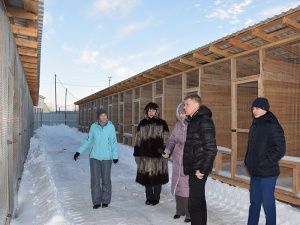 Общественники Мегиона осмотрели объект для пребывания безнадзорных животных