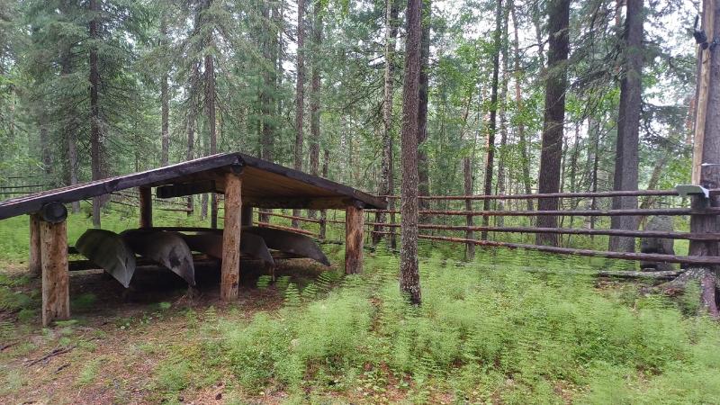 «Югра» – место силы