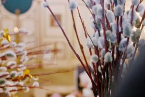 Вербное воскресенье 2021: десять главных вопросов о празднике