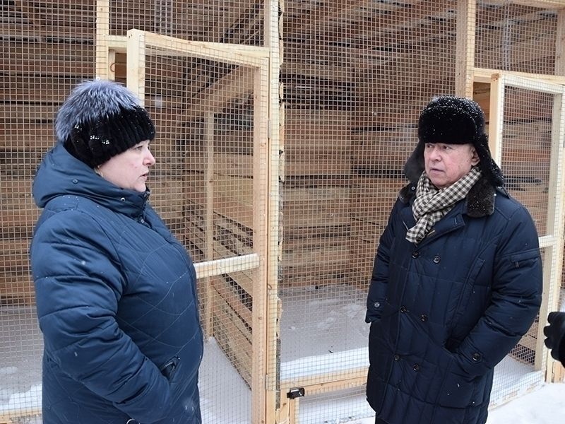 25 февраля в Мегионе откроется объект по содержанию безнадзорных животных