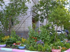 Приём работ на конкурс «Зеленый дворик» продлевается до 31 июля