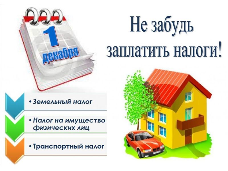1 декабря истекает срок уплаты имущественных налогов за 2021 год