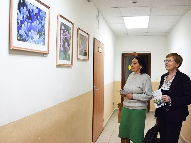 «Музыка цветов»