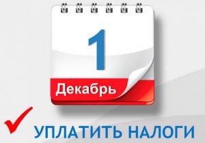 1 декабря истекает срок уплаты имущественных налогов за 2020 год