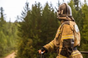 Восемь лесных пожаров ликвидировали в Югре за сутки