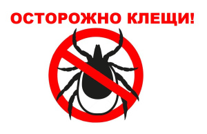 В Югре больше 3 тысяч человек пострадали от клещей