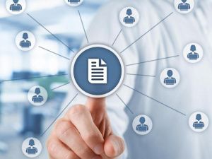 Цифровое «единое окно» для бизнеса