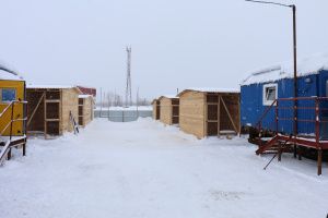 Открыт счет для пожертвований на корм бродячим животным