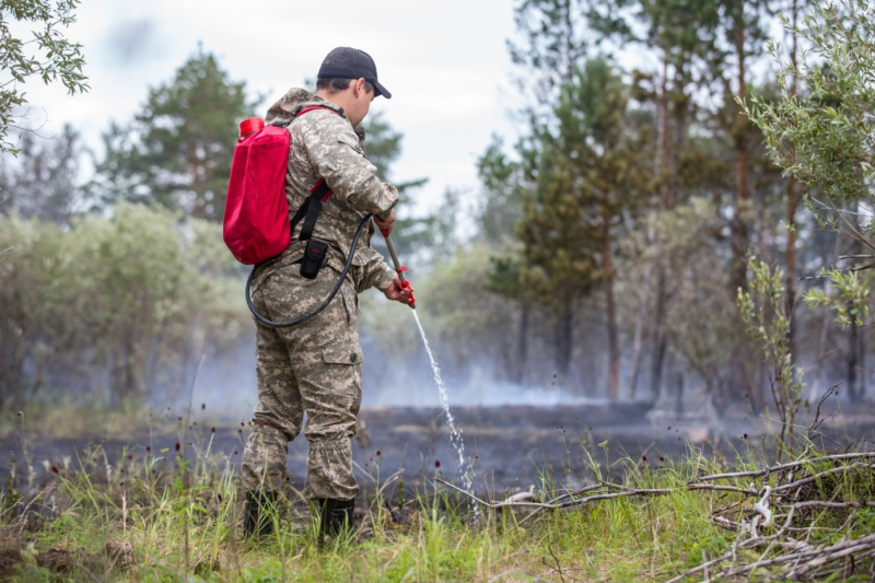 В Югре потушили все лесные пожары