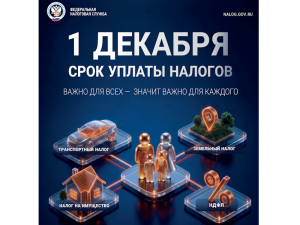 1 декабря - срок уплаты имущественных налогов за 2025 год