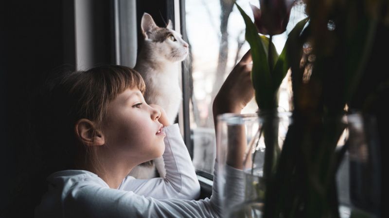 Лучше дома. Самоизоляция: проверка на законопослушание