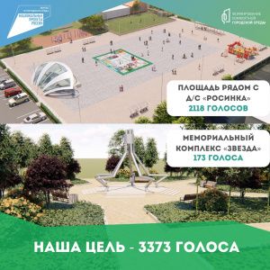 Наша цель - 3373 голоса