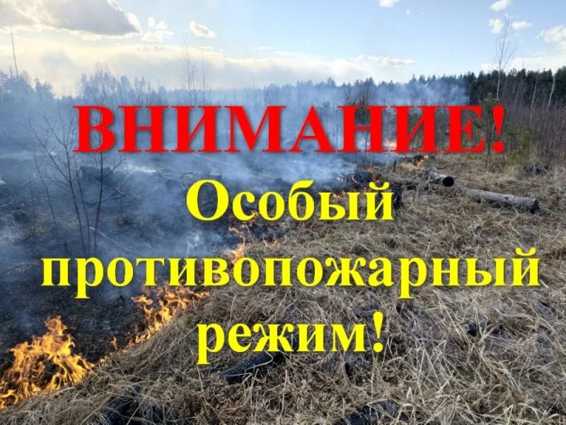 В Югре действует особый противопожарный режим 