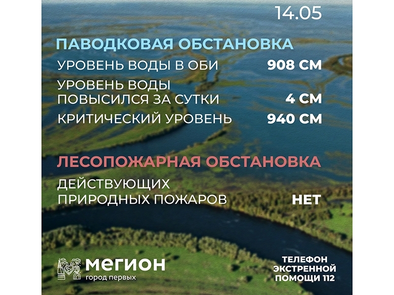 Лесопожарная и паводковая обстановка в Мегионе на 14 мая