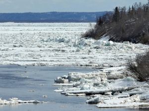 На Оби начался ледоход