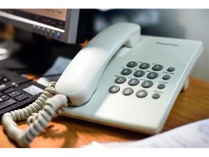 Горячая линия викторины «Моя Конституция» ежедневно принимает более 3 000 вопросов