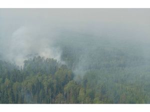 В Югре создадут новую модель профилактики и тушения пожаров