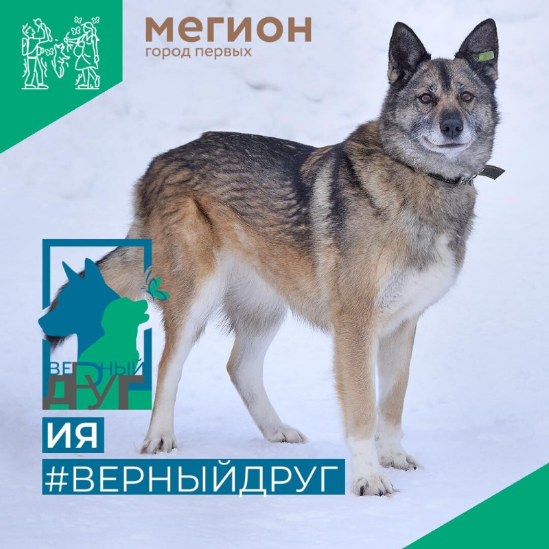 Ия - умудренная опытом, но сохранившая детскую душу 
