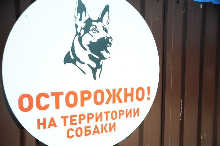 Собачий приют будет модернизирован