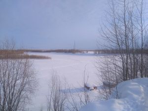 От рыбалки стоит временно отказаться