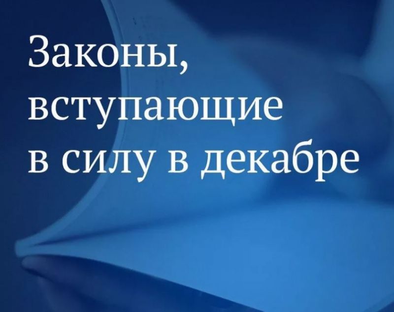Как облегчат жизнь россиян законы декабря