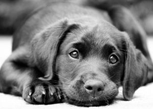 Ещё немного, ещё чуть-чуть…