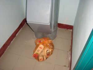 Что делать, если соседи выбрасывают мусор в подъезде или возле дома?